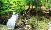 Randonnée Marche Morzine - Le Sentier du Renard et la cascade de Nyon - Photo 1