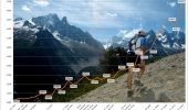 Randonnée Course à pied Chamonix-Mont-Blanc - Cross du Mont-Blanc 2008 - Photo 3