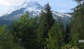 Tocht Lopen Chamonix-Mont-Blanc - Marathon du Mont-Blanc 2008 - Photo 1