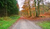 Randonnée Marche Longpont - en forêt de Retz_73_ballade (5) en toute saison - Photo 2