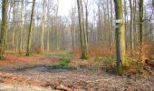 Randonnée Marche Longpont - en forêt de Retz_73_ballade (5) en toute saison - Photo 7