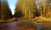 Randonnée Marche Longpont - en forêt de Retz_73_ballade (5) en toute saison - Photo 20