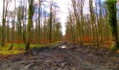 Randonnée Marche Longpont - en forêt de Retz_73_ballade (5) en toute saison - Photo 9