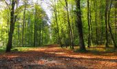 Tocht Stappen Longpont - en forêt de Retz_73_ballade (5) en toute saison - Photo 10