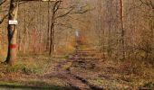 Randonnée Marche Longpont - en forêt de Retz_73_ballade (5) en toute saison - Photo 18