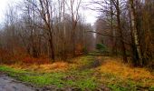 Tocht Stappen Longpont - en forêt de Retz_73_ballade (5) en toute saison - Photo 17