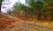 Tocht Stappen Longpont - en forêt de Retz_73_ballade (5) en toute saison - Photo 3