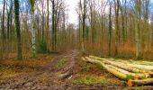Tocht Stappen Longpont - en forêt de Retz_73_ballade (5) en toute saison - Photo 11
