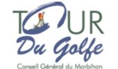 Percorso Marcia Theix-Noyalo - Tour du Golfe du Morbihan - 06 - Séné - Photo 1