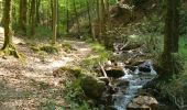 Tocht Stappen Monthermé - De la Meuse à la Semoy par le Roc la Tour et la Roche aux Corpias - Photo 6