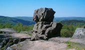 Tour Wandern Monthermé - De la Meuse à la Semoy par le Roc la Tour et la Roche aux Corpias - Photo 5