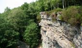 Trail Walking Monthermé - De la Meuse à la Semoy par le Roc la Tour et la Roche aux Corpias - Photo 2