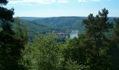 Tour Wandern Les Hautes-Rivières - Des Hautes-Rivières à Naux par les sentiers de crêtes - Photo 6