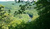 Tocht Stappen Les Hautes-Rivières - Des Hautes-Rivières à Naux par les sentiers de crêtes - Photo 4