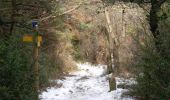 Trail Walking Grane - Boucle pédestre n°42 - Bois de la Dame - La Pierre Sanglante - Photo 1