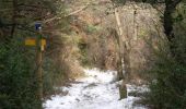 Randonnée Marche Grane - Boucle pédestre n°42 - Bois de la Dame - La Pierre Sanglante - Photo 1