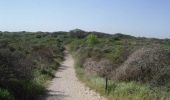 Randonnée Marche Bray-Dunes - Circuit GPS de la dune du Westhoek - Photo 2