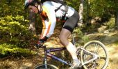 Trail Mountain bike Phalsbourg - Circuit VTT du Plan Incliné - Photo 3