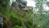 Tour Wandern Bogny-sur-Meuse - La promenade du Liry et des Quatre Fils Aymon - Photo 5