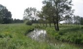 Tour Wandern Steenwerck - Circuit de la Boudrelle - Steenwerck - Photo 3