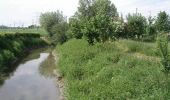 Tocht Stappen Steenwerk - Circuit de la Boudrelle - Steenwerck - Photo 2