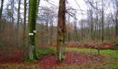Percorso Marcia Villers-Cotterêts - en forêt de Retz_74_la laie des Pots_13 km pour 13 Regards - Photo 2
