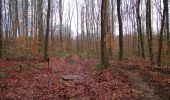 Trail Walking Villers-Cotterêts - en forêt de Retz_74_la laie des Pots_13 km pour 13 Regards - Photo 20