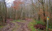 Tocht Stappen Villers-Cotterêts - en forêt de Retz_74_la laie des Pots_13 km pour 13 Regards - Photo 18