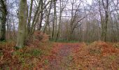 Trail Walking Villers-Cotterêts - en forêt de Retz_74_la laie des Pots_13 km pour 13 Regards - Photo 14