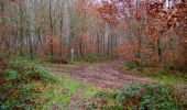 Tocht Stappen Villers-Cotterêts - en forêt de Retz_74_la laie des Pots_13 km pour 13 Regards - Photo 16