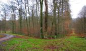 Tour Wandern Villers-Cotterêts - en forêt de Retz_74_la laie des Pots_13 km pour 13 Regards - Photo 3