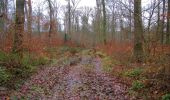 Trail Walking Villers-Cotterêts - en forêt de Retz_74_la laie des Pots_13 km pour 13 Regards - Photo 9
