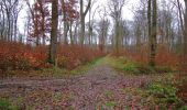 Trail Walking Villers-Cotterêts - en forêt de Retz_74_la laie des Pots_13 km pour 13 Regards - Photo 7