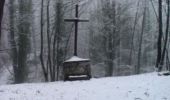 Tour Wandern Ustou - Le Tuc de Gaspard - Photo 1