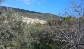 Randonnée Marche Figanières - les chemins de figanieres et callas - Photo 4
