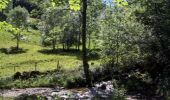 Tocht Stappen Ercé - La Pastorale - Photo 1