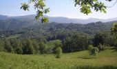 Tour Wandern Ercé - Le tour du Régudé - Photo 1