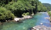 Excursión Bici de montaña Seix - Les bords du Salat à partir de Seix - Photo 1