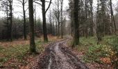 Trail Walking Modave - Modave en hiver 21,7 km - Photo 14