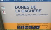 Tour Andere Aktivitäten Les Sables-d'Olonne - rando Dudu 05-01-2019 - Photo 5