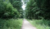 Trail Walking Marchiennes - Circuit de l Abbaye - Marchiennes - Photo 2