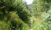 Trail Walking Monthermé - Rando dans le massif ardennais des Hauts-Buttés - Photo 1