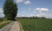 Tour Wandern Comines - Le circuit des tilleuls (Comines) - Photo 3