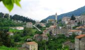 Tour Wandern Porto-Vecchio - Mare a Mare Sud - De Cartalavonu à Levie - Photo 1