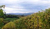 Randonnée Marche Laroin - Les vignes en terrasses des collines de Jurançon - Photo 1