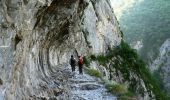 Trail Walking Etsaut - Chemin de la Mâture en vallée d'Aspe - Photo 1