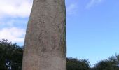 Tocht Stappen Plouzané - De Plouzané au Bois de Kervéatouz par le Menhir de Kerloas - Photo 1