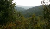 Trail Walking Les Hautes-Rivières - La promenade de la Roche du Saut Thibault - Photo 6