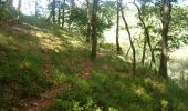 Tour Wandern Les Hautes-Rivières - La promenade de la Roche du Saut Thibault - Photo 3