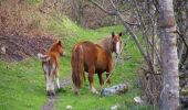 Trail Walking Arcizans-Dessus - Soum de la Pene - Photo 6